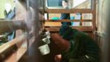 Tourist attackiert: Messerattacke am Holocaust-Mahnmal - Opfer im Zeugenstand