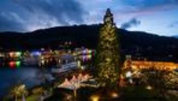 Weihnachtszeit: Groß, aus Holz oder Online: Kurioses zu Weihnachtsbäumen