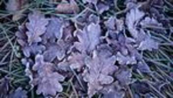 Wetter: Frost in Berlin und Brandenburg