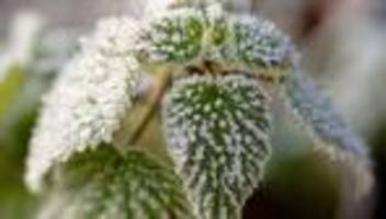 Wetterbericht: Nebel, Glätte, gefrierender Regen – Südwesten muss aufpassen