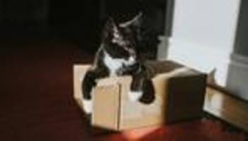 Wohnungsnot: Wollen Sie umziehen, aber es geht nicht?