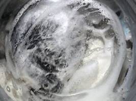 Gründlich, spar­sam, lang­lebig: Das sind die besten Waschmaschinen