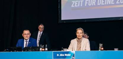 Auftritt von Alexander Eichwald bei der AfD: Intern nennen sie ihn jetzt den »Hitler-Clown«