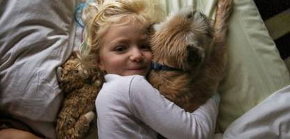 Neurowissenschaft: Wie sabbernde Hunde ihre Besitzer glücklich machen