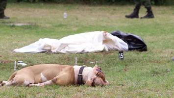 25 Jahre nach Tod des kleinen Volkan: Bekommt Sechsjähriger einen Gedenkstein?