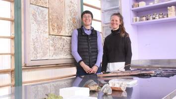 Pilze als Baustoff: Hamburger Uni forscht am Haus der Zukunft