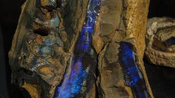 „bares für rares“-star zeigt auf der mineralienmesse seine schätze