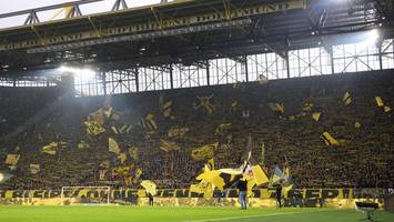 fanforscher warnt innenminister: „nicht mit dem holzhammer draufhauen“