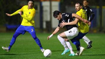 oberliga hamburg mit neuer streaming-strategie – alle hintergründe