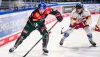 Deutsche Eishockey Liga: Eishockey-Profi Busdeker verlängert in Augsburg