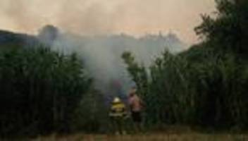 waldbrände 2025: waldbrände führen zu bisher höchsten emissionen in europa