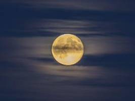 Einfluss auf Schlaf und Laune?: Der letzte Supermond des Jahres leuchtet