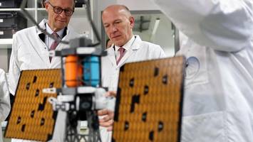 tauwetter unter alphatieren? der kanzler lobt berlin