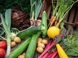 landwirtschaft in der eu: was die lockerung der gentechnik-regeln bedeutet