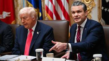 pete hegseth - der us-selbstverteidigungsminister und die tödliche schildkröte