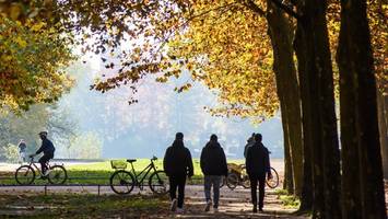 Homophobe Attacke im Stadtpark: Brüder sollen Böller auf Mann geworfen haben