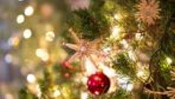 Erbach: Geschlagene Esel und zerstörte Deko auf Weihnachtsmarkt