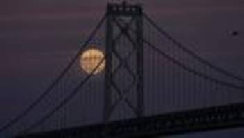 Fotografie: Bilder des Tages