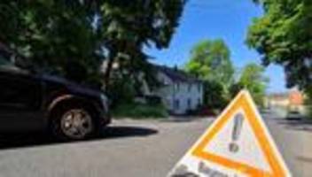 Tiere: Seilbrücke in Nürnberg soll Eichhörnchen vor Autos schützen