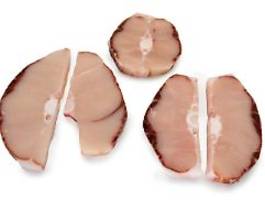 studie liefert dna-beweise: wie bedrohte hai-arten auf dem teller landen