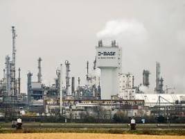 Wird nicht verschwinden: BASF-Chef äußert sich zur Deindustrialisierungs-Debatte