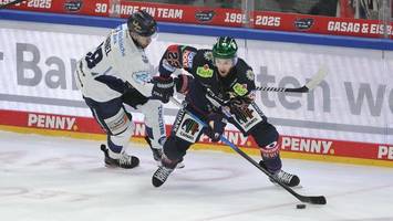 Eisbären: Viel Mühe mit dem Kellerkind
