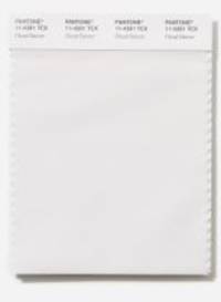 pantone-trendfarbe: »cloud dancer« löst mocha mousse ab