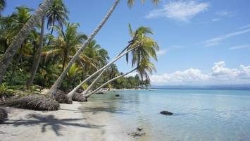 curaçao: das ist der kleine wm-teilnehmer aus der karibik