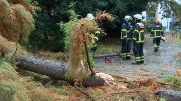 Hamburgerin (50) gelähmt: Anwohner warnte vor herabfallenden Ästen