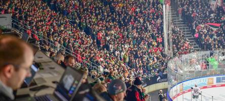 panther-fans nach 2:4-pleite gegen dresden: frust und galgenhumor im netz