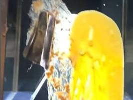 mit apfelkuchen beworfen: aktivisten attackieren britische kronjuwelen in london