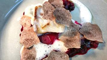 steinbutt-filet / blumenkohl / rote bete / alba trüffel