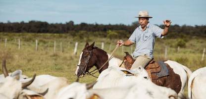 FC-Bayern-Legende Giovane Elber: Vom Torjäger zum Farmbesitzer