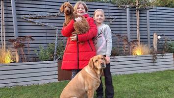 Verwahrloster Welpe: Familie kümmert sich liebevoll um „Seelenhund“