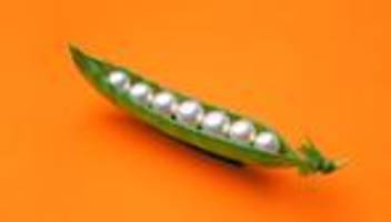 erbschaftssteuer: die große bescherung