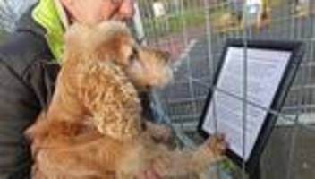 Feste: Hunde-Weihnachtsmarkt in Magdeburg kurzfristig abgesagt