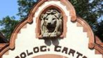 tierpark: vogelgrippe-verdacht im zoo leipzig – anlagen gesperrt
