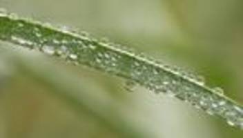 Wetterbericht: Regen und Wind zum Advent - ab Montag wird es milder