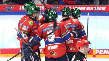 Eisbären sind zurück auf Kurs dank der Kellerklubs