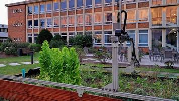 Gemüseanbau mit KI: Wie der Garten der Zukunft in der Stadt aussieht