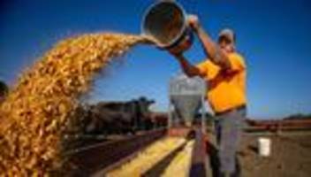 USA: Donald Trump plant Entlastungspaket für US-Landwirte in Milliardenhöhe