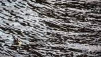 Wasserstraße: Stau auf dem Main nach Schiffsunfall