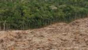 Zweijährliches Treffen: UN-Umweltversammlung startet in Nairobi