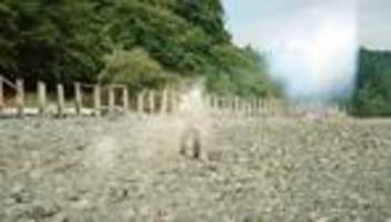 Erinnerungen in der Familie: Wo gehen bei Ihnen die Familienerinnerungen auseinander?