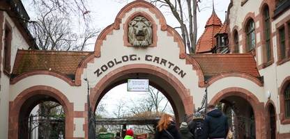zoo leipzig: anlagen wegen vogelgrippe-fall teilweise gesperrt