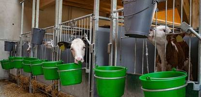 Lebensmittel: Milchbauern bezeichnen Butterpreis als »wirtschaftliches Desaster«