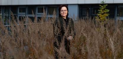 Film-Branche: »Man muss idealistisch oder halb verrückt sein, wenn man heute noch Filme produziert«