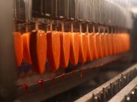 aktien: eiscreme-anbieter magnum enttäuscht mit börsendebüt