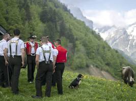 Volksmusik: Holleri du dödel di