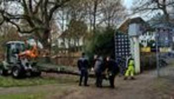 Bei Arbeiten in Bremen: 8.000 Jahre alter Eichenstamm bei Tunnelbau entdeckt